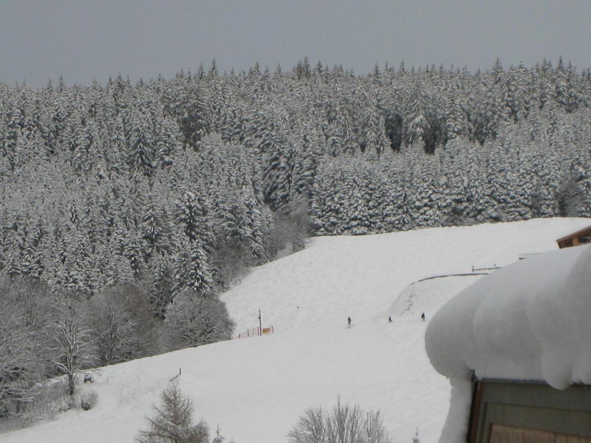 Ski-in / Ski-out Chalet Kriekels by Alpen Apartments Zell am See Buitenkant foto